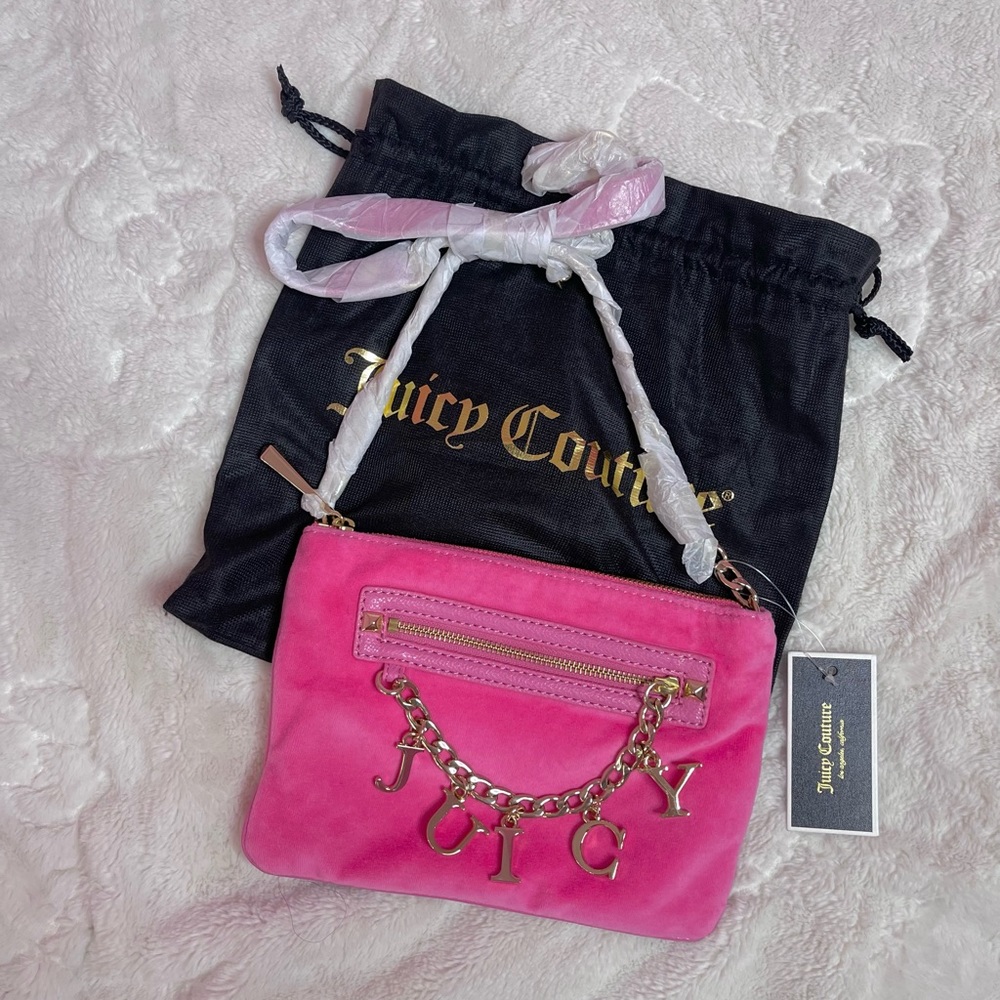 Juicy couture bag